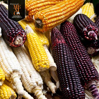 Rinden homenaje al maíz en el Festival del Centro Histórico