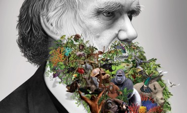 ¿Qué tanto sabes sobre Darwin? Descubre más en el Antiguo Colegio de San Ildefonso