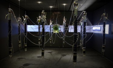 ¿Plantas robots? Naturaleza, ciencia y arte juntos en la obra de Gilberto Esparza